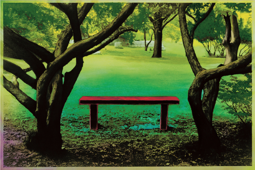 Bench, Mt Auburn, © Helen Morse