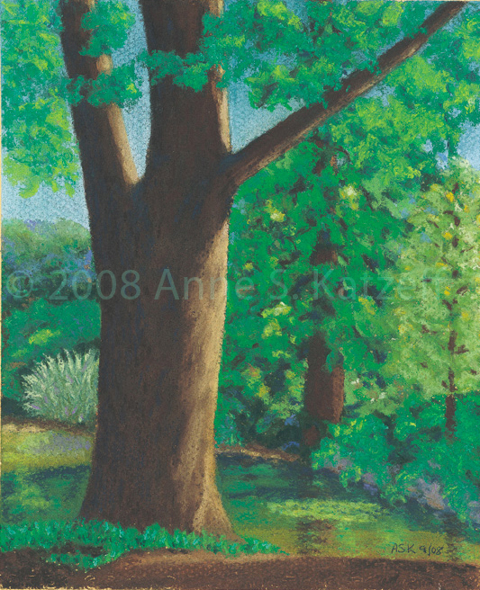 In the Woods, pastel, © 2008 Anne S. Katzeff