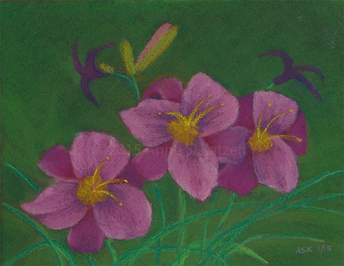 Pink Whispers, Pastel, © 2015 Anne S. Katzeff