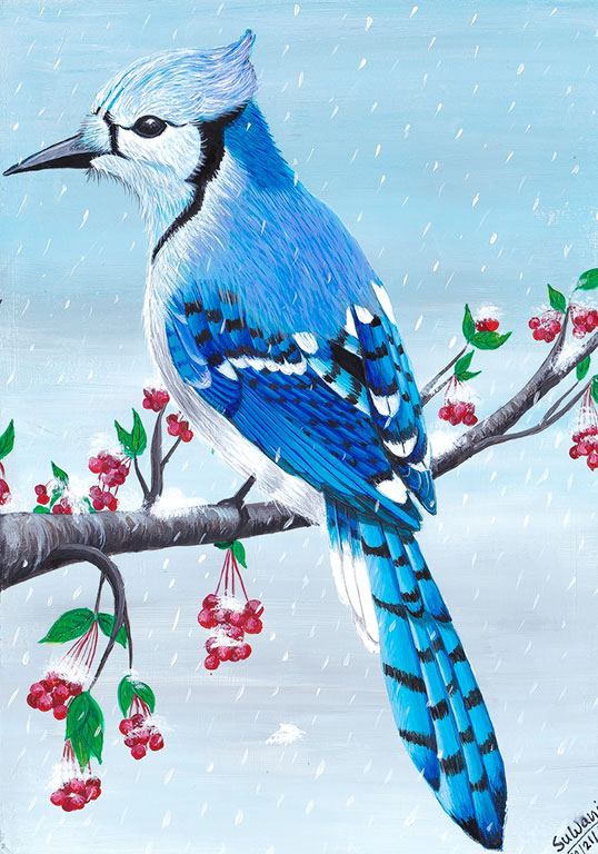Sudakshina Bhattacharya: Bluebird in Snow