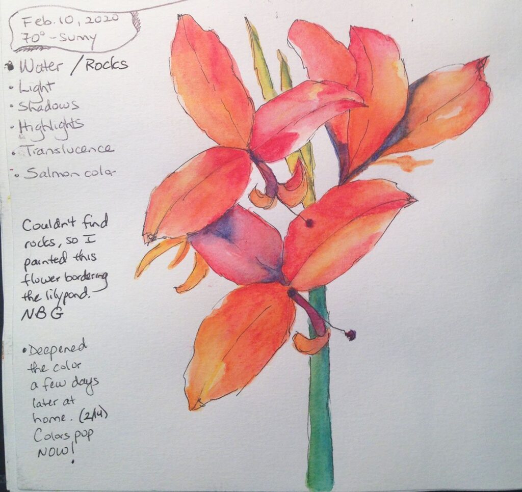 Orange-red Cannalily